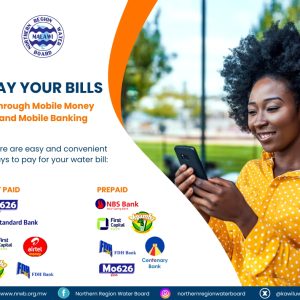 BRICKWAVE LUNYANGWA NRWB VENDOR